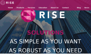 Rise-services-net.webflow.io thumbnail