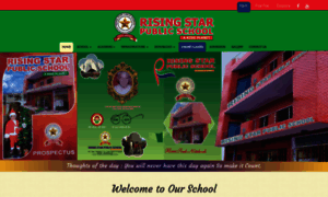 Risingstarpublicschool.com thumbnail