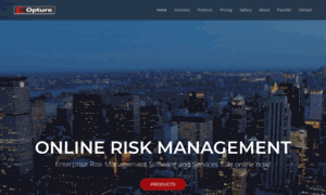 Riskmanagement-online.com thumbnail