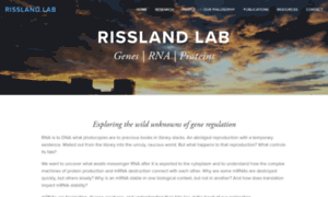 Risslandlab.com thumbnail