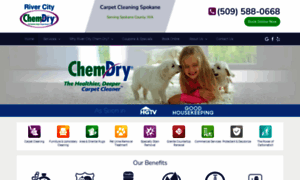 Rivercitychemdry.com thumbnail