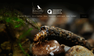 Riverflies.org thumbnail