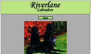 Riverlanelabs.com thumbnail