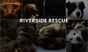 Riversideanimalrescue.org thumbnail