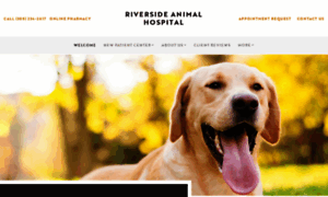 Riversideanimalvets.com thumbnail