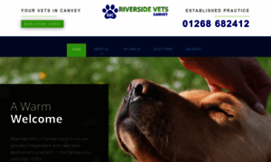 Riversidevetscanvey.co.uk thumbnail