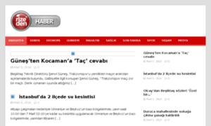 Rizeden.net thumbnail