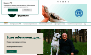 Rkf.org.ru thumbnail