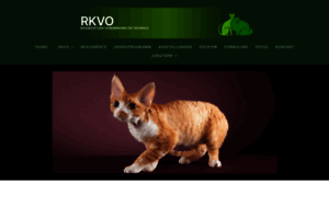 Rkvo.ch thumbnail