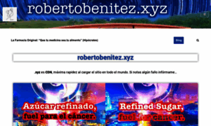 Robertobenitez.info thumbnail