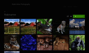 Robinanne.org thumbnail