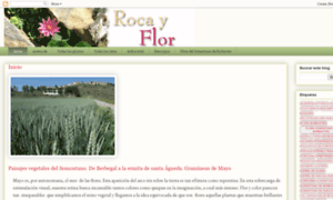 Rocayflor.blogspot.com thumbnail