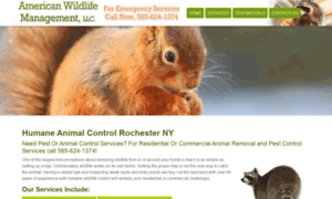 Rochesterwildlifemanagement.com thumbnail