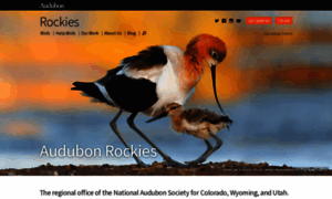 Rockies.audubon.org thumbnail