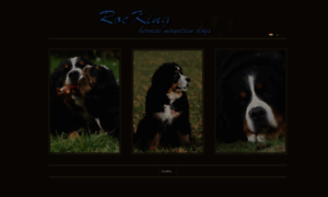 Rockingbernese.hu thumbnail