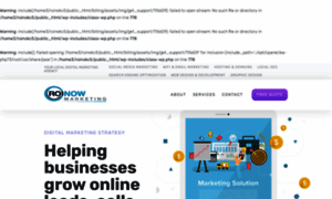 Roinowmarketing.com thumbnail