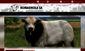 Romagnola.co.za thumbnail