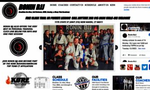 Roninbrazilianjiujitsu.com thumbnail