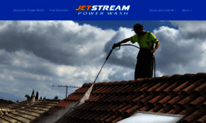 Roofcleaningservices.com thumbnail