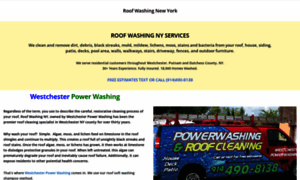 Roofwashingny.com thumbnail