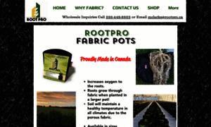 Rootpro.ca thumbnail