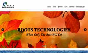 Roots-tech.com.sg thumbnail