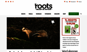 Rootsmagazine.nl thumbnail