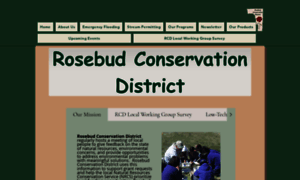 Rosebudcd.com thumbnail