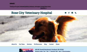 Rosecityvet.com thumbnail