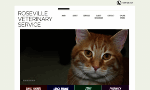 Rosevilleveterinaryservice.com thumbnail