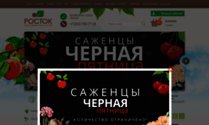 Rostok-pitomnik.ru thumbnail