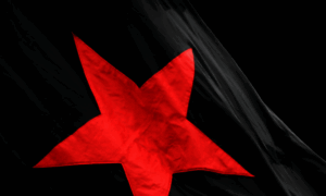 Roter-stern-st-pauli.de thumbnail
