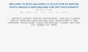 Rothgalleries.com thumbnail