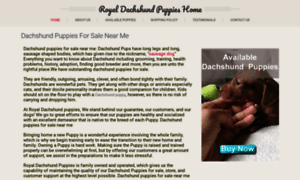 Royaldachshundpups.com thumbnail