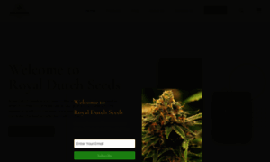 Royaldutchseeds.zohirs.com thumbnail