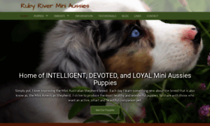 Rubyriverminiaustralianshepherds.com thumbnail