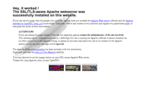 Rudysuitzendburo.nl thumbnail