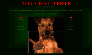 Rufus-irish-terrier.de thumbnail