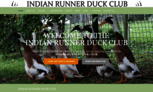 Runnerduck.net thumbnail