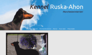 Ruska-ahon.fi thumbnail