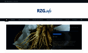Rzg.info.pl thumbnail