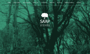 Saap.org.br thumbnail