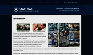 Saarka.com.mx thumbnail