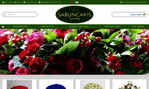 Sabuncakis.net thumbnail
