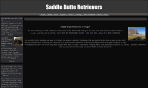 Saddlebutteretrievers.com thumbnail