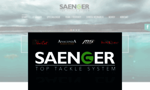 Saenger.pl thumbnail