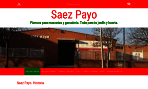 Saez-payo.com thumbnail