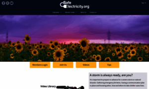 Safeelectricity.org thumbnail