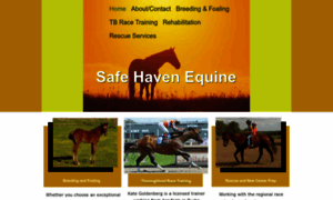 Safehavenequine.com thumbnail