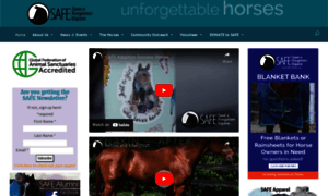 Safehorses.org thumbnail